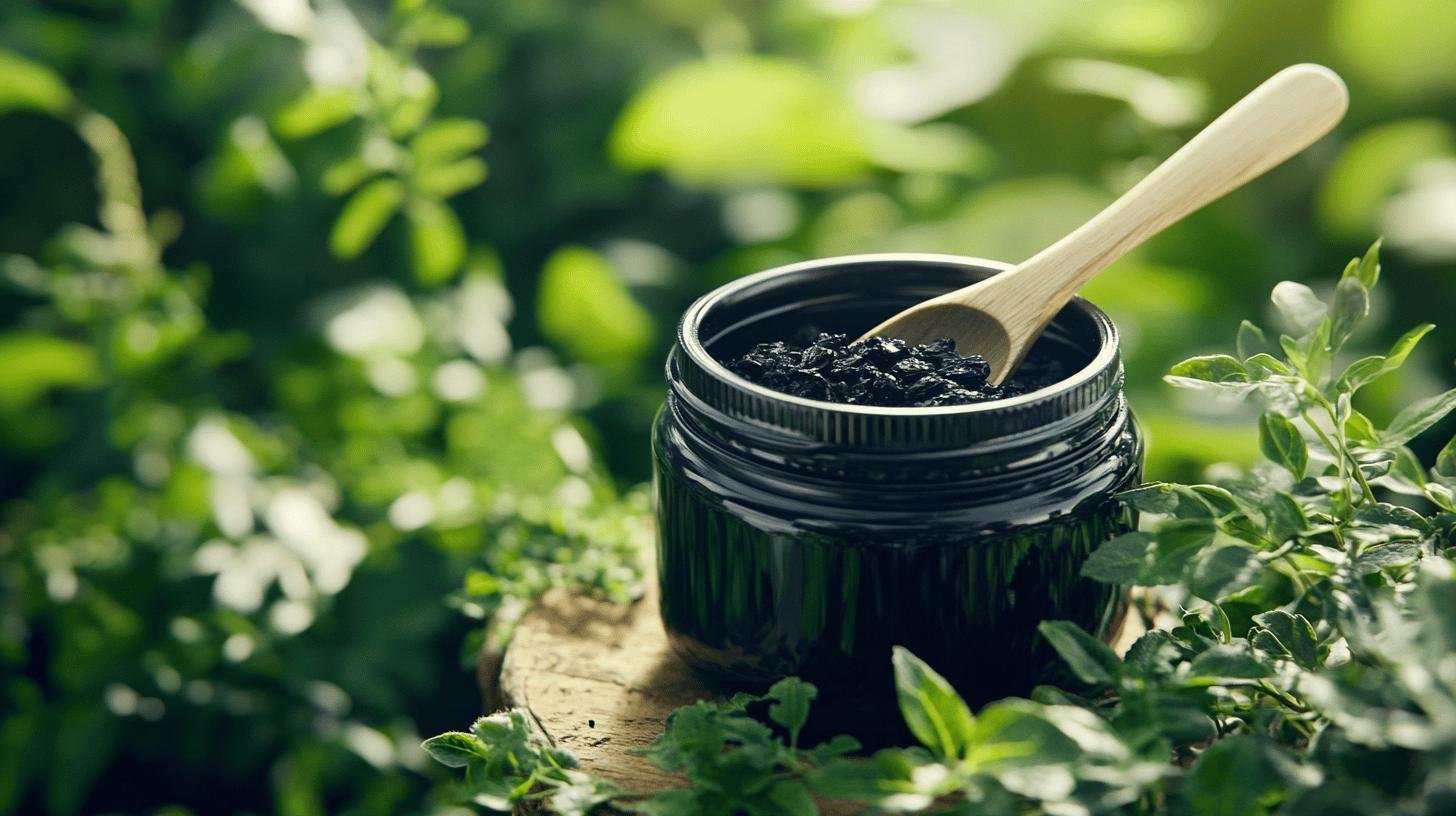 Shilajit pour nettoyer les intestins naturellement : découvrez ses