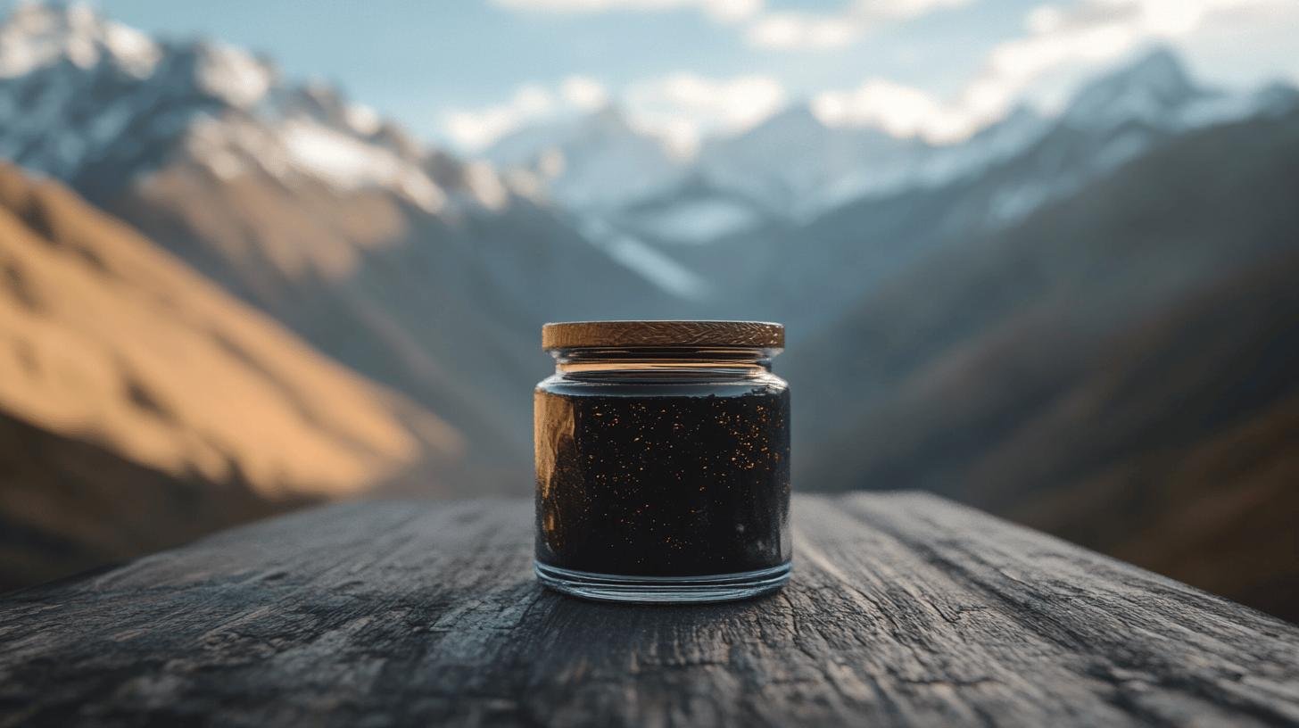 Suppléments Shilajit pour purifier le foie et les reins  Quest-ce que cest-1.jpg