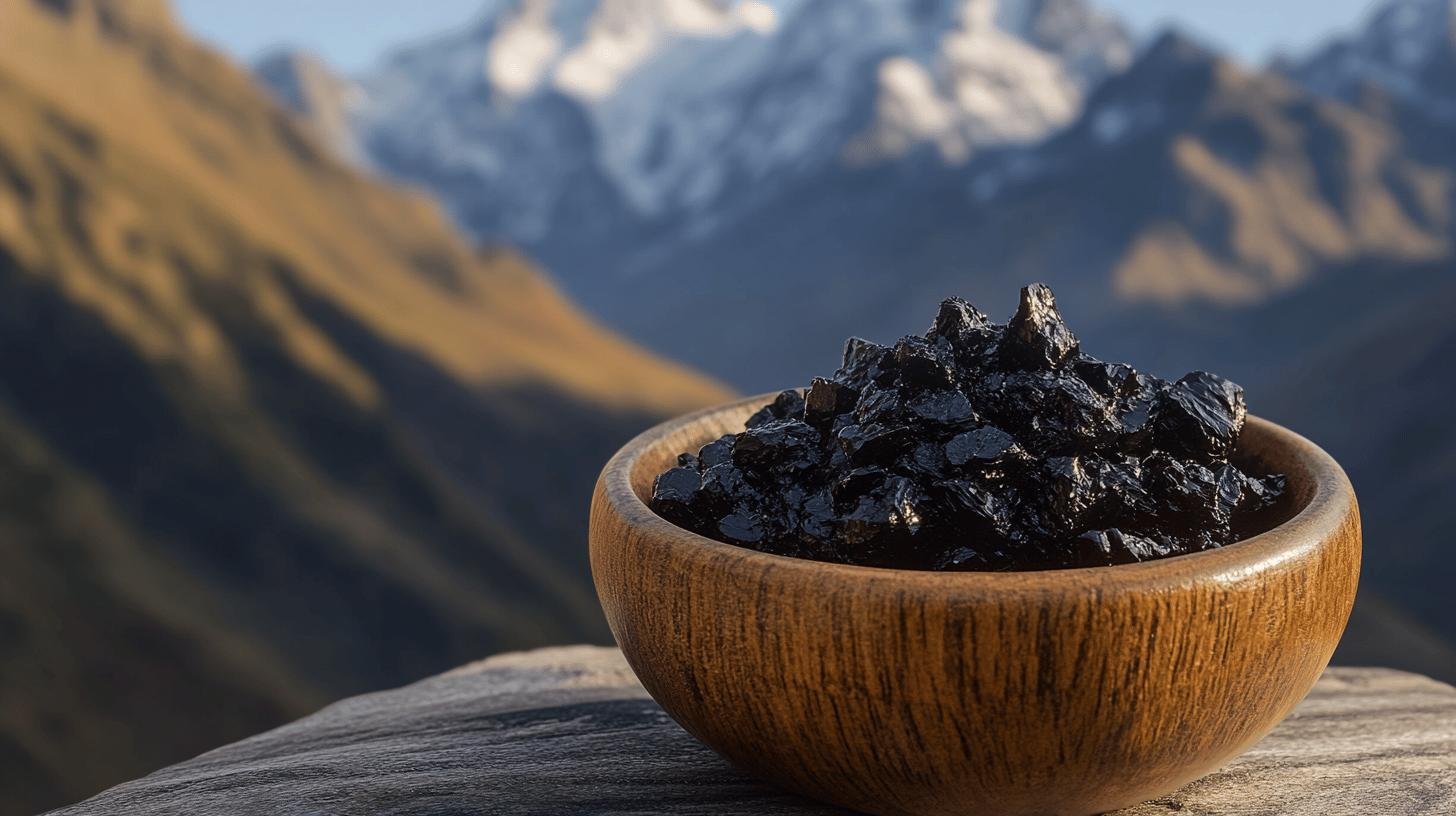 Découvrir le shilajit en France  Origine, Composition et Bienfaits-1.jpg