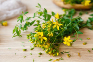 Fleurs jaunes de millepertuis frais sur une table en bois clair